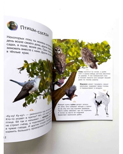 «Енциклопедія дошкільника: Природа» на 32 сторінки з м'якою обкладинкою 20х24 см, ТМ Ранок