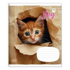 Зошит на 18 аркушів у клітинку «Котики» №2554, ТМ Brisk