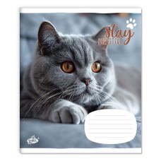 Зошит на 18 аркушів у клітинку «Котики» №2554, ТМ Brisk