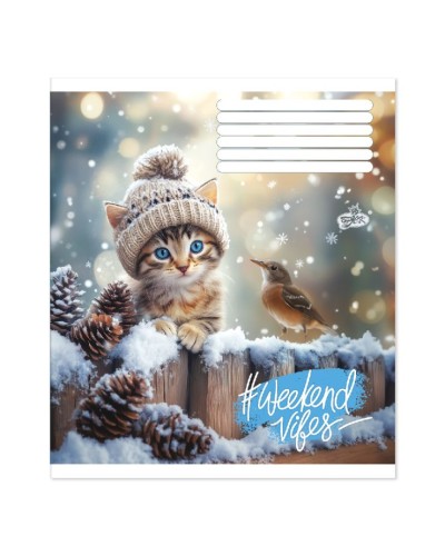 Зошит на 60 аркушів у клітинку «Муркотливий комфорт», №2621, ТМ Brisk