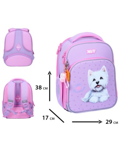 Рюкзак каркасний «Stay Pawesome» 38х17х29 см S-78M, ТМ Yes