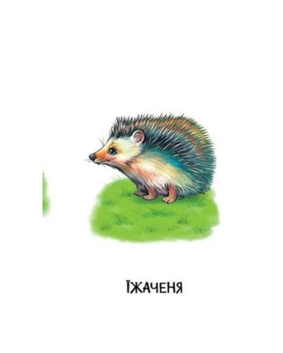 «Мами та дитинчата» на 22 сторінки з твердою обкладинкою 10,5х15 см, ТМ Ранок
