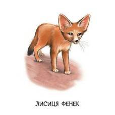 «Прогулянка зоопарком» на 22 сторінки з твердою обкладинкою 10,5х15 см, ТМ Ранок