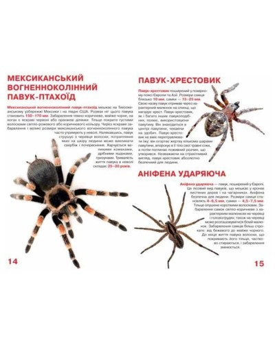 «Велика книжка. Павуки» на 16 сторінок з м'якою обкладинкою 24х33 см, ТМ Кристал Бук