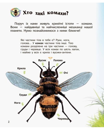 «Енциклопедія дошкільника. Комахи» на 32 сторінки з м`якою обкладинкою 24х20 см, ТМ Ранок