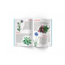«Велика книжка. Рослинний світ України» м'яка обкладинка, 16 сторінок, 24х33 см, ТМ Кристал Бук