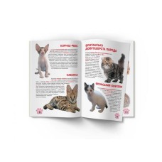 «Велика книжка. Кошенята» на 16 сторінок з м'якою обкладинкою 21х29 см, ТМ Кристал Бук