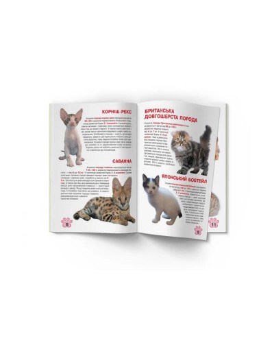 «Велика книжка. Кошенята» на 16 сторінок з м'якою обкладинкою 21х29 см, ТМ Кристал Бук