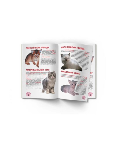 «Велика книжка. Кошенята» на 16 сторінок з м'якою обкладинкою 21х29 см, ТМ Кристал Бук