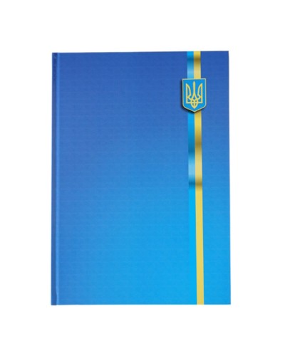 Книга канцелярська А4 на 96 аркушів у клітинку з твердою обкладинкою, в асортименті, TM Buromax