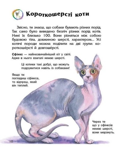 «Енциклопедія дошкільника. Коти» на 32 сторінки з м`якою обкладинкою 24х20 см, ТМ Ранок