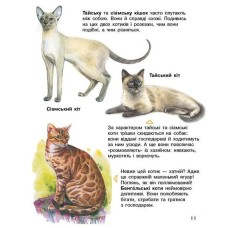 «Енциклопедія дошкільника. Коти» на 32 сторінки з м`якою обкладинкою 24х20 см, ТМ Ранок