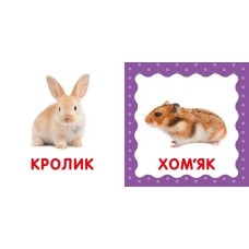 «Перша книжка малюка. Свійські тварини» на 12 сторінок з твердою обкладинкою 11х11 см, ТМ Ранок