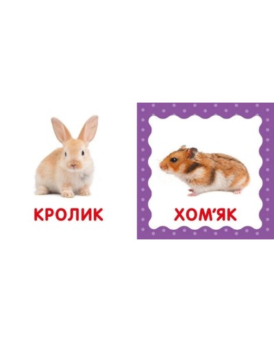 «Перша книжка малюка. Свійські тварини» на 12 сторінок з твердою обкладинкою 11х11 см, ТМ Ранок