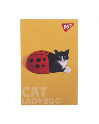 Блокнот «Catstyle» А7 на 48 аркушів у клітинку, в асотименті, ТМ Yes