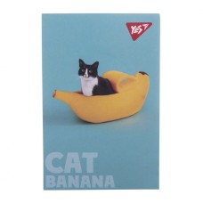 Блокнот «Catstyle» А7 на 48 аркушів у клітинку, в асотименті, ТМ Yes