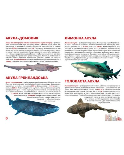 «Акули» на 16 сторінок м'якою обкладинкою 24х33 см, ТМ Кристал Бук