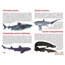 «Акули» на 16 сторінок м'якою обкладинкою 24х33 см, ТМ Кристал Бук