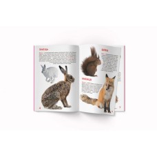 «Велика книжка. Дикі тварини» на 16 сторінок з м'якою обкладинкою 24х33 см, ТМ Кристал Бук