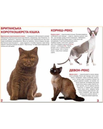 «Велика книжка.Кішки» на 16 сторінок з м'якою обкладинкою 24х33 см, ТМ Кристал Бук