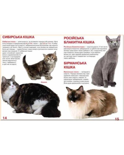 «Велика книжка.Кішки» на 16 сторінок з м'якою обкладинкою 24х33 см, ТМ Кристал Бук