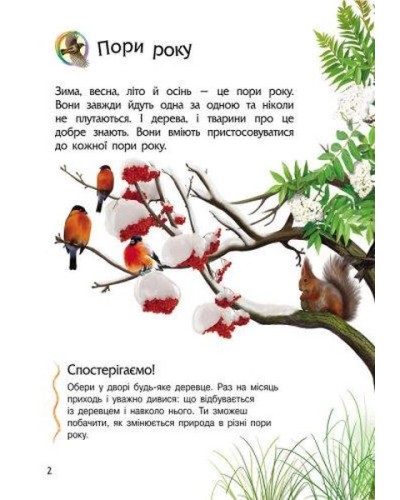 «Енциклопедія дошкільника. Природа» на 32 сторінки з м'якою обкладинкою 20х24 см, ТМ Ранок