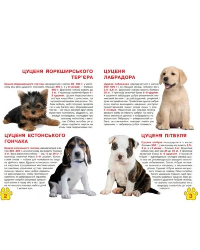 «Велика книга. Цуценя» на 16 сторінок з м'якою обкладинкою 24х33 см, ТМ Кристал Бук