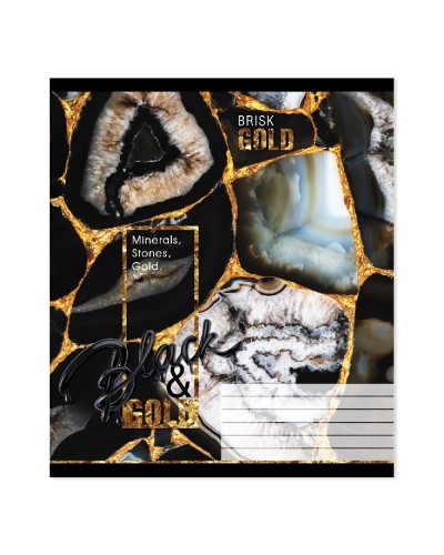 Зошит на 96 аркушів у лінію «Мікс №2», №3009, ТМ Gold Brisk