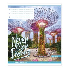 Зошит на 48 аркушів у клітинку «Нейтральний Мікс №1» №2209, ТМ Brisk