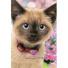 Щоденник шкільний 16,5х24 см на 40 аркушів з матовою ламінацією, ТМ Мандарин