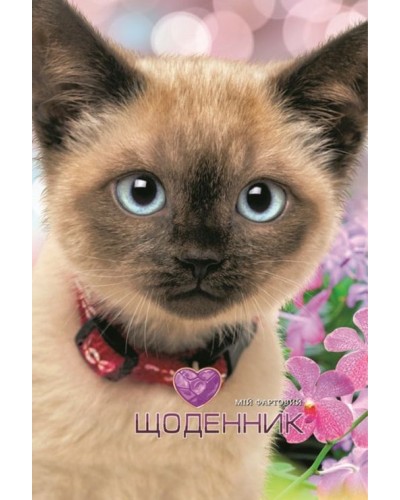 Щоденник шкільний 16,5х24 см на 40 аркушів з матовою ламінацією, ТМ Мандарин