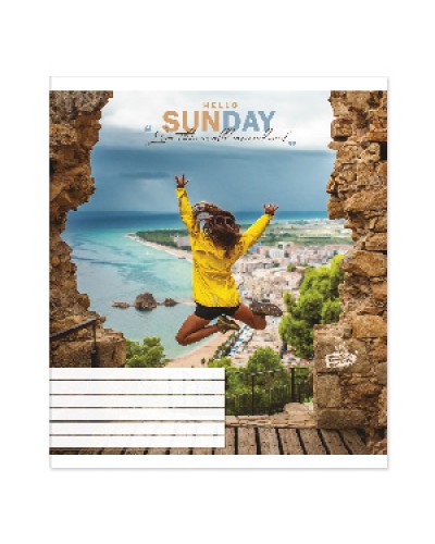 Зошит на 24 аркуші у лінію «Нейтральний мікс 2», №2254, ТМ Brisk