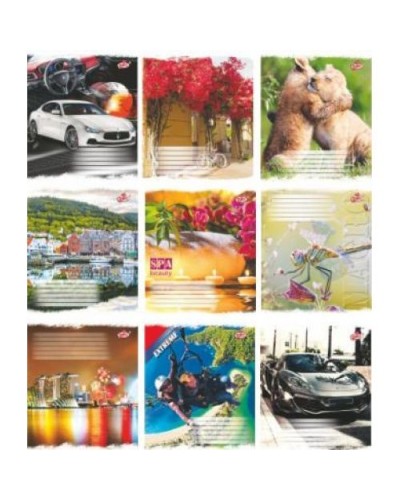 Зошит 36 арк., клітинка, Brisk, «Мікс Хлопчики», №2262