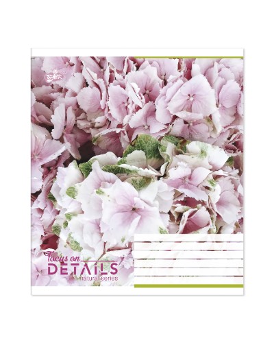 Зошит на 48 аркушів у клітинку «Мікс Дівчинки», №2284, ТМ Brisk