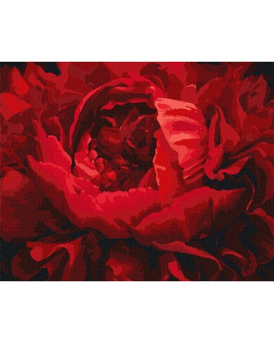 Картина за номерами «Вишукана квітка» 40х40 см, ТМ Ідейка