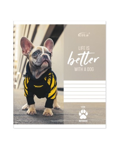 Зошит на 12 аркушів у косу лінію «Мікс Хлопці», №3102, ТМ Gold Brisk