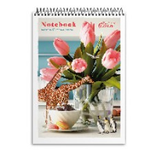 Блокнот А6 на 48 аркушів у клітинку на спіралі зверху з картонною обкладинкою, №6772, ТМ Brisk