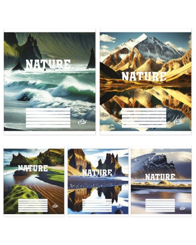 Зошит на 12 аркушів у клітинку «Натуральність», №2367, ТМ Brisk