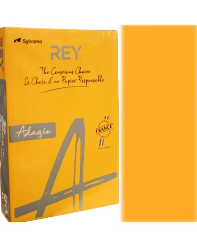 Папір кольоровий, А4, 500 аркушів, 80 г/м, інтенсив гарбузовий, REY Adagio