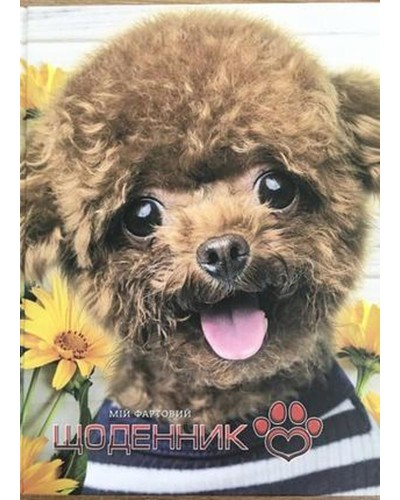 Щоденник шкільний 16,5х21 см на 40 аркушів з картонною обкладинкою, ТМ Мандарин