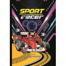 Щоденник шкільний 16,5х24 см на 40 аркушів з матовою ламінацією, ТМ Мандарин