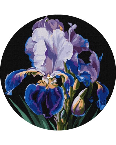 Картина за номерами «Ніжні іриси» d 33 см, ТМ Ідейка