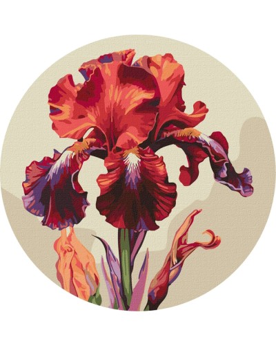 Картина за номерами «Чарівний ірис» d 33 см, ТМ Ідейка