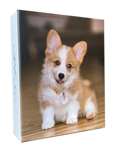 Фотоальбом «Dog 4» на 200 10х15 см, ламінований картон, паперові аркуші