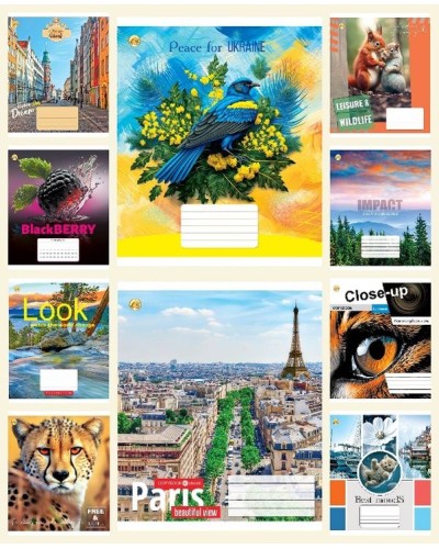 Зошит на 60 аркушів у клітинку «Мікс 1», ТМ Тетрада