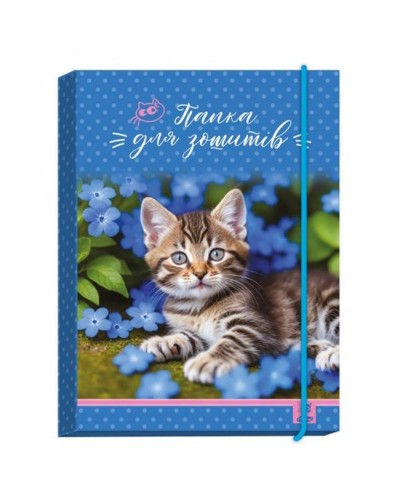 Папка для зошитів «Cat» В5 картонна на гумках, ТМ Рюкзачок