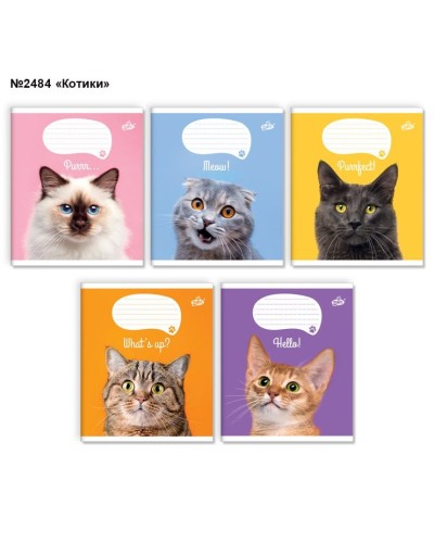 Зошит на 12 аркушів у лінію «Котики» №2484, ТМ Brisk