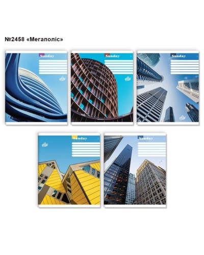 Зошит на 96 аркушів у клітинку «Мегаполіс» №2458, ТМ Brisk