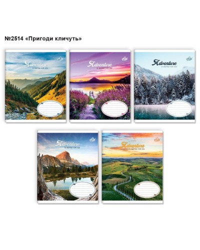 Зошит на 96 аркушів у клітинку «Пригоди кличуть» №2514, ТМ Brisk