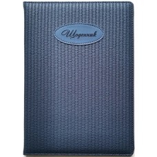 Щоденник шкільний на 48 аркушів 173х246 мм з обкладинкою зі шкірзаму, ТМ Мандарин